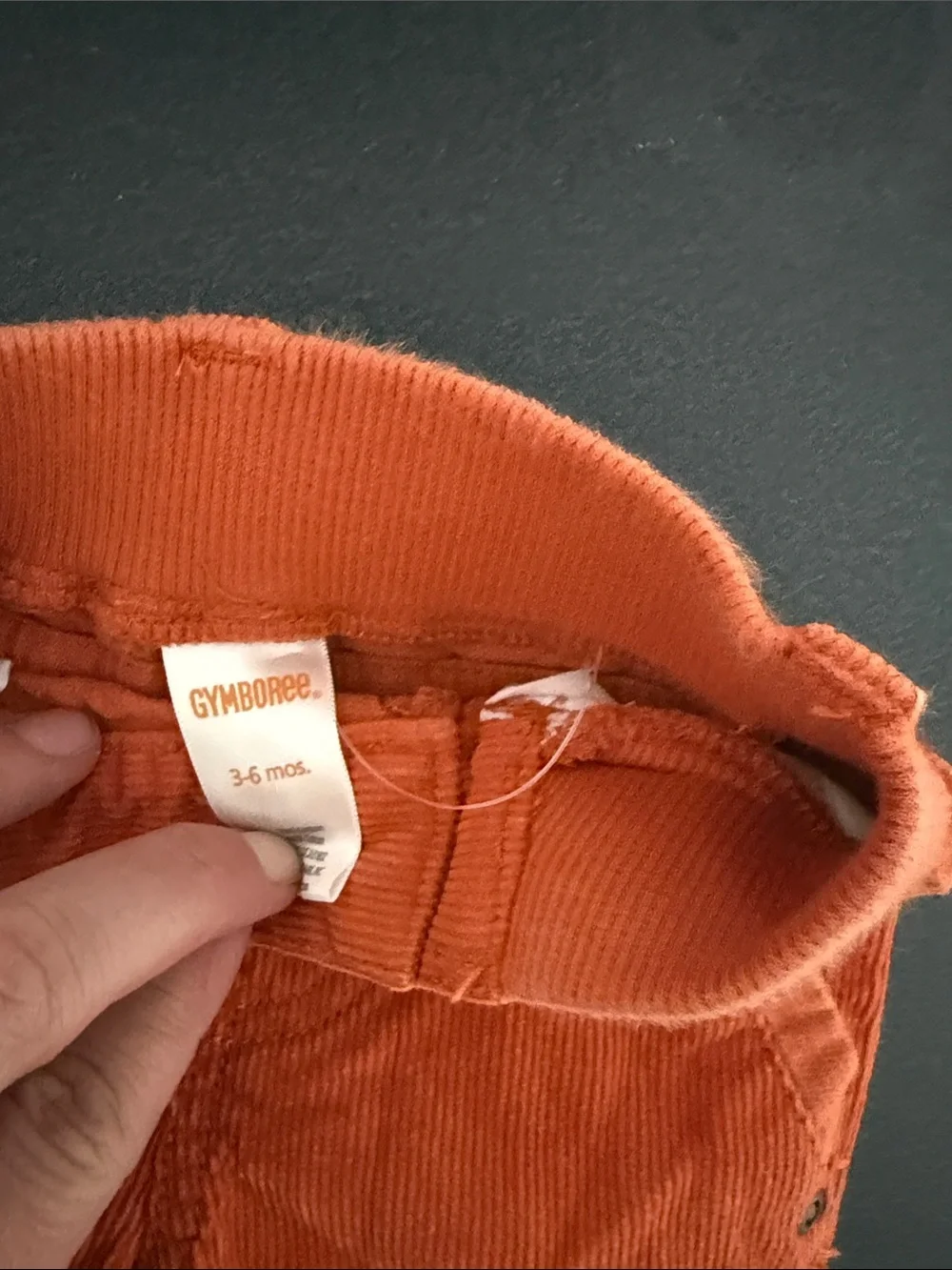 Gymboree Orange Corduroy Kids Pants